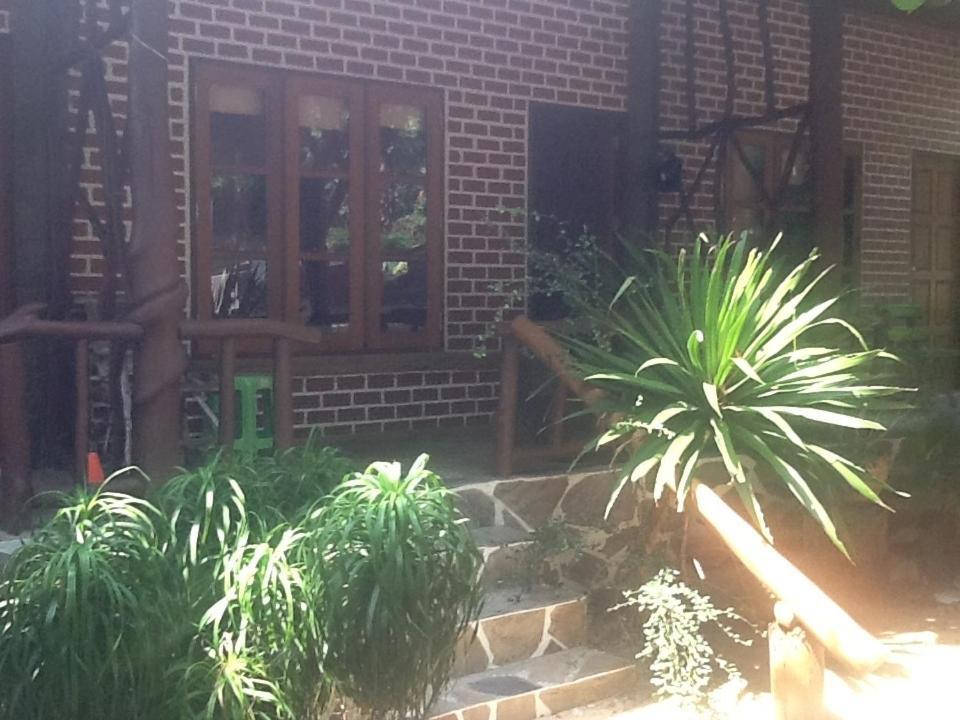 Peach Guesthouse Haad Rin Εξωτερικό φωτογραφία